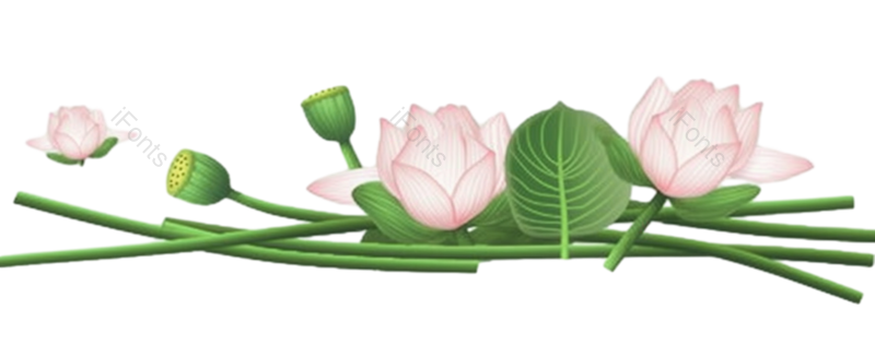 叶子图片,元素元素,卡通PNG,清新免抠素材